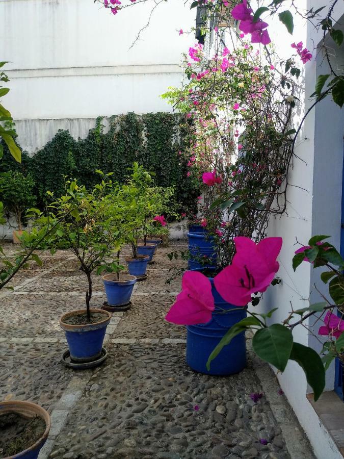 Wish Juderia De Apartamento