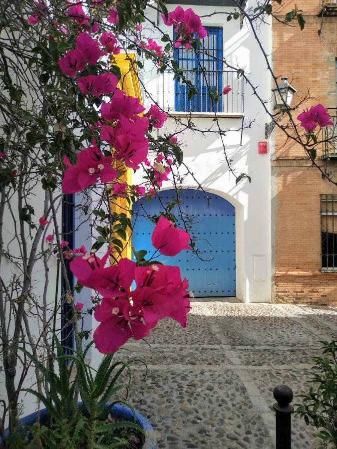 Appartement Wish Juderia De Sevilla